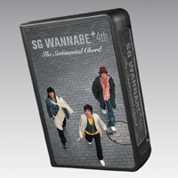 [중고] SG워너비 (SG Wanna Be) / 4집 The Sentimental Chord (Digital Disc)