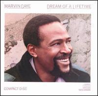 [중고] Marvin Gaye / Dream Of A Lifetime (수입)