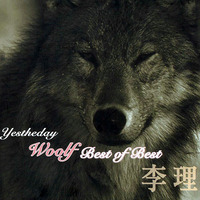 [중고] 이리 (李理) / Yesterday Woolf - Best Of Best (Digipack)