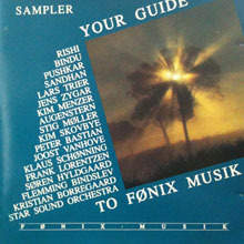 [중고] V.A. / Sampler - Your Guide to Fonix Musik (수입)