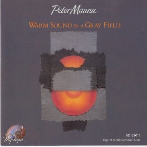 [중고] Peter Maunu / Warm Sound in a Gray Area (수입)