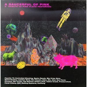 V.A / Saucerful of Pink : Tribute to Pink Floyd (2CD/수입/미개봉)