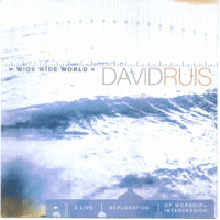 David Ruis / Wide Wide World (미개봉)