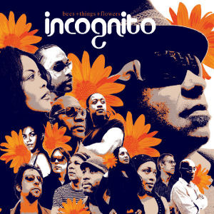 Incognito / Bees+Things+Flowers (미개봉)