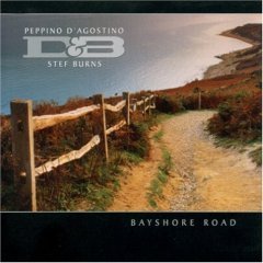 [중고] Peppino d&#039;Agostino, Stef Burns / Bayshore Road (수입)