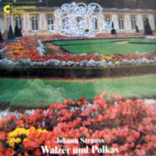 Carl Michalski / Johann Strauss : Walzer Und Polkas (미개봉/수입/7001)