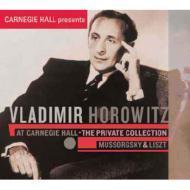 Vladimir Horowitz / Vladimir Horowitz At Carnegie Hall - The Private Collection: Mussorgsky &amp; Liszt (미개봉/s70366c)