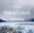 David Gray / Life In Slow Motion (미개봉)