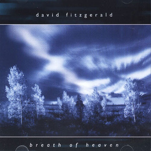 [중고] David Fitzgerald / Breath of Heaven