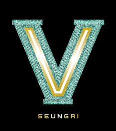 승리 (Seungri) / V.V.I.P (1st Mini Album/Digipack/미개봉)