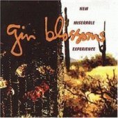 Gin Blossoms / New Miserable Experience (수입/미개봉)