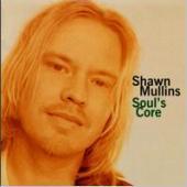 Shawn Mullins / Soul&#039;s Core (미개봉)
