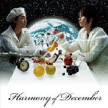 [중고] Kinki Kids (킨키 키즈) / Harmony of December (일본수입/single/jecn0115)