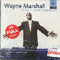 Wayne Marshall / A Gershwin Songbook (미개봉/vkcd0016)