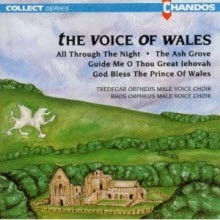 Tredegar Orpheus Male Voice Choir, Rhos Orpheus Male Voice Choir / The Voice Of Wales (수입/미개봉/chan6540)