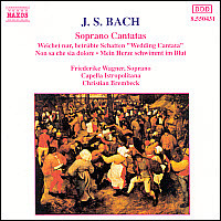 [중고] Christian Brembeck / Bach : Soprano Cantata BWV199, 202 &#039;Wedding Cantata&#039;, 209 (수입/8550431)