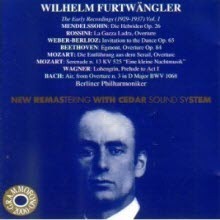 [중고] Wilhelm Furtwangler / The Early Recordings, Vol. 1 (1929-1937/수입/ab78574)
