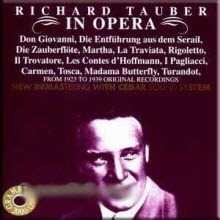 [중고] Richard Tauber / Offenbach, Bizet, Leoncavallo, Mozart, Verdi, Puccini, Flotow - Richard Tauber in Opera (수입/ab78537)