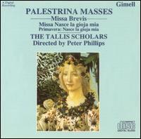 [중고] Peter Phillips, Tallis Scholars / Palestrina : Missa Brevis (수입/csgim008)