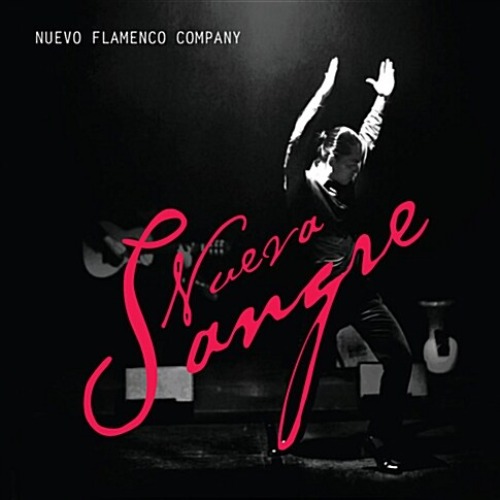[중고] 누에보 플라멩코 컴퍼니 (Nuevo Flamenco Company) / Nueva Sangre