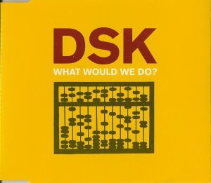 [중고] DSK / What Would We Do? (수입/Single)