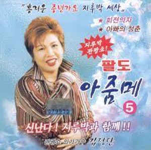 [중고] 김정단 / 5집 관광쇼 팔도 아줌메