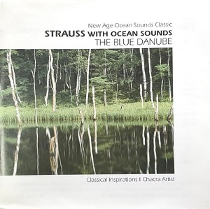 [중고] V.A. / Strauss With Ocean Sounds The Blue Danube (vicd6023)
