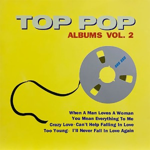 [중고] V.A. / Top Pop Albums Vol.2