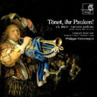 [중고] Philippe Herreweghe / Bach : Tonet, Ihr Pauken (Digipack/hmc901860)