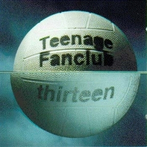 [중고] Teenage Fanclub / Thirteen (수입)