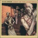 Dixie Dregs / Night Of The Living Dregs(수입/미개봉)