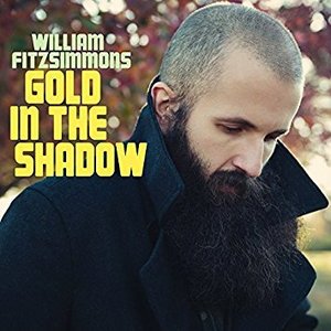 [중고] William Fitzsimmons / Gold In The Shadow (수입/2CD/digipack/트레이손상있음)