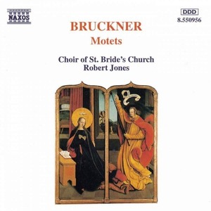 [중고] Matthew Morley / Bruckner : Motets (수입/8550956)