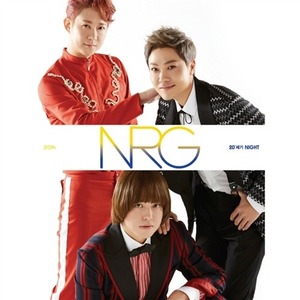 [중고] 엔알지 (NRG) / 20주년 기념앨범 20세기 (Digipack/홍보용)