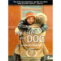 [DVD] 개 같은 내인생 - My Life As A Dog (미개봉)