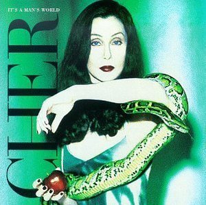 [중고] Cher / It&#039;s A Man&#039;s World (수입)