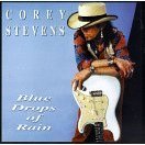 [중고] Corey Stevens / Blue Drops of Rain (수입)