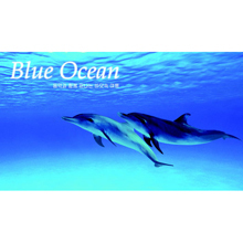 V.A. / Blue Ocean : 음악과 함께 떠나는 바닷속 여행 (CD+DVD/미개봉/cck8307)