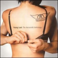 [중고] Aerosmith / Young Lust: The Aerosmith Anthology (2CD)
