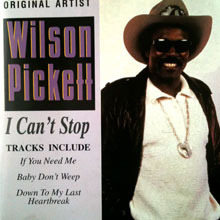 [중고] Wilson Pickett / I Can&#039;t Stop (수입)