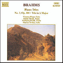 [중고] Vienna Piano Trio / Brahms : Piano Trio No.3, A Major (수입/8550747)
